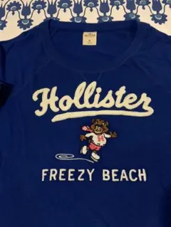 ホリスター　長袖TシャツM 又はS サイズの方