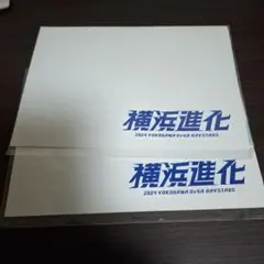 横浜DeNAベイスターズ 2024 横浜進化 2セット