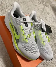 Air Zoom Pegasus 41 FD2722 104 27.5cm