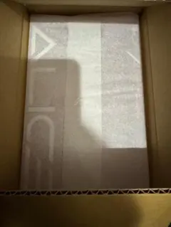 【新品未開封】勝利の女神　NIKKE アリス　フィギュア　フレア