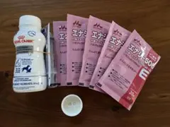 Item thumbnail for item fff84a79-635f-4ada-8c3f-374cbd626fe4