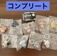 全9種コンプリート.zeroni.めじるしアクセサリー.ゼベワン