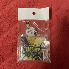 オリックスバファローズ　優勝記念グッズ　まとめ売り オリックスバファローズ 優勝記念グッズセット - メルカリ