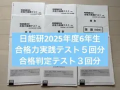 2025年度　日能研6年フルセット➕追加あり New 2025 Kawasaki Ninja® 1100SX SE ABS Emerald Blazed Green