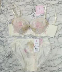 新品・タグ付き☆ワコール☆トレフル☆６９G・美の女神☆ＲＥ☆Ｅ６５＆ショーツＭ Yahoo!オークション - 新品・タグ付き ワコール トレフル 69G