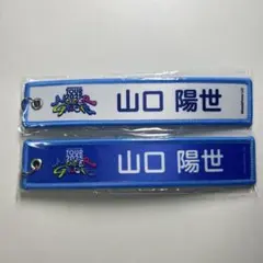 かじゅ様 リクエスト 2点 まとめ商品