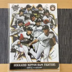日本ハム ファイターズ 2009 クリアファイル　非売品　ダルビッシュ有