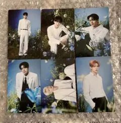 enhypen トレカ　walk the line final