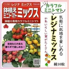 桃太郎様 リクエスト 4点 まとめ商品