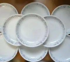 高強度磁器皿　海の生物デザイン皿