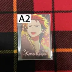 追憶 放映 カード 鬼龍紅郎 A2