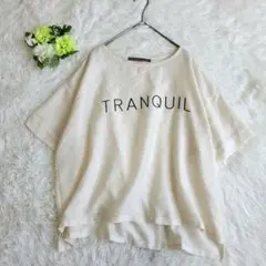 ​【アンナケリー】TRANQUILロゴ シアー半袖カットソー ベージュ 38 Mのサムネイル