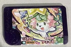 フレンダ　シェイミ