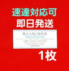 名鉄　リトルワールド　モンキーパーク　南知多ビーチランド　株主優待券　1枚　M①のサムネイル