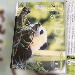 AERA 2025年注目の人　パンダカレンダー付き