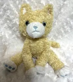 プリンスキャット アクア