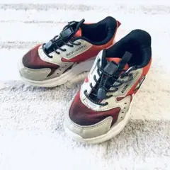 Item thumbnail for item 8429d1e1-130c-467e-8036-c84f86e330aa