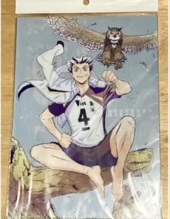 ハイキュー‼︎ 木兎光太郎 クリアファイル Ver.2.0 未使用です