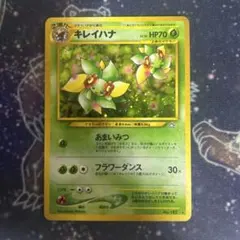 ドレディア 062/BW-P ポケモンキッズ ベストウィッシュ プロモ 未開封
