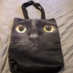 Item thumbnail for item 38a8e1a0-fdaa-4b76-a6d3-24f6721ac62e