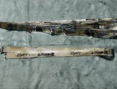 2025年最新】国内アーティスト：真天地開闢集団ジグザグ その他