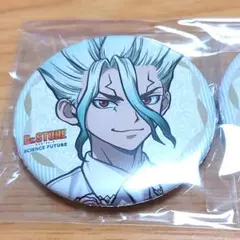 Dr.STONE 石神千空 台詞缶バッジ アニメイトポイント景品 6点 - メルカリ