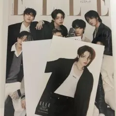 ELLE エル・ジャポン TREASURE 特別版 1月号　特典　ジョンファン