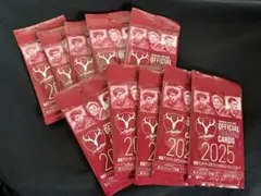 鹿島アントラーズ オフィシャルトレーディングカード 2025 未開封　10パック