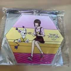 デジモン　八神ヒカリ&テイルモン　グッズまとめ売り 2025年最新】八神ヒカリ＆テイルモンの人気アイテム - メルカリ