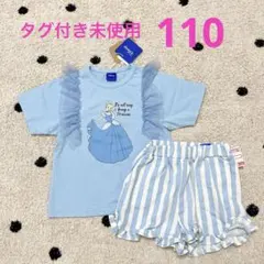 [未使用] シンデレラ　セットアップ (110㎝)