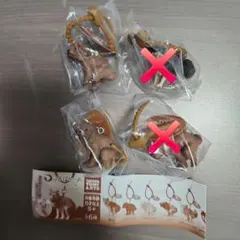 Uta様