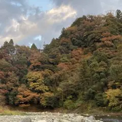 ささみ様　専用