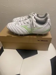 モナルシーダネオ3 セレクトJ MJホワイト×ネオングリーン23.5センチ