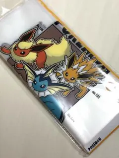 ポケモン スリーコインズ 手提げ袋　イーブイ シャワーズ サンダース