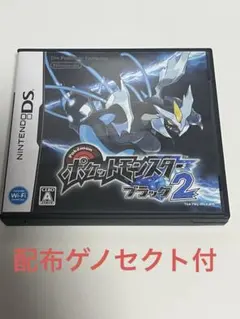 DS ポケットモンスター ブラック 2 配布ゲノセクト付