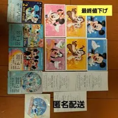 【未使用・有効期限切れ】30周年記念ディズニーリゾートライン2DAYPASS ディズニーリゾートライン フリー切符 30周年、バケーション