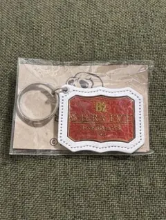 Item thumbnail for item b689a1bb-36a0-4374-be28-83acd4fe9b33