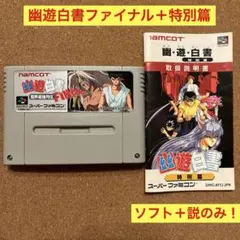 スーパーファミコン　幽遊白書　特別篇の説明書＋　FINALのカートリッジのみ！