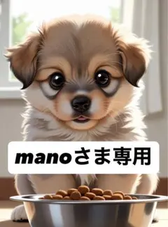 manoさま専用②