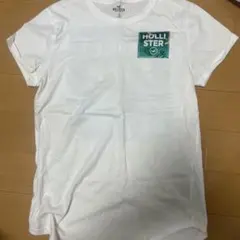 HOLLISTER ホワイト Tシャツ 1999年モデル
