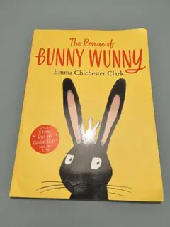 ⭕️ The Rescue of Bunny Wunny イギリス絵本
