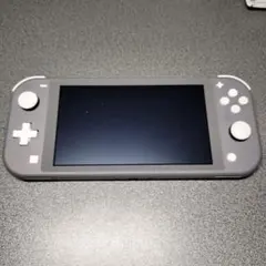 Nintendo Switch Lite グレー