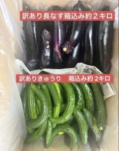 訳あり きゅうり 箱込み約1キロ 訳あり長なす 箱込み約2キロ - メルカリ