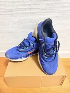 NIKEエアズームペガサス41(26.0cm)