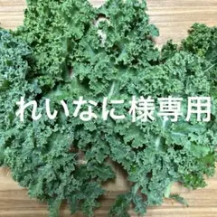 れいなに様専用　カリーノケール