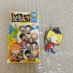 ハイキュー!! 孤爪研磨　にとたん