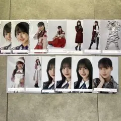 櫻坂46 中嶋優月 生写真セット