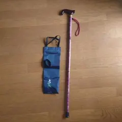 Item thumbnail for item 48e763b4-ff2e-41fc-a5a8-3839c767844e