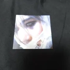 (sic)boy　ステッカー