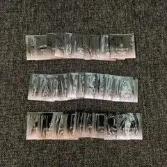 クレ・ド・ポー ボーテ　シナクティフ イドラタンジュール　29包